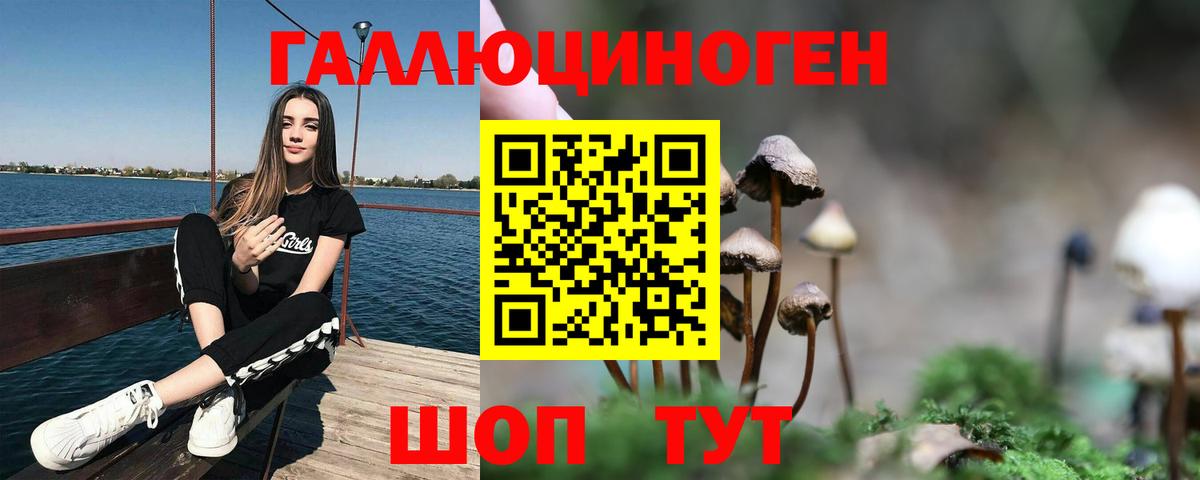 Галлюциногенные грибы мухоморы Шуя