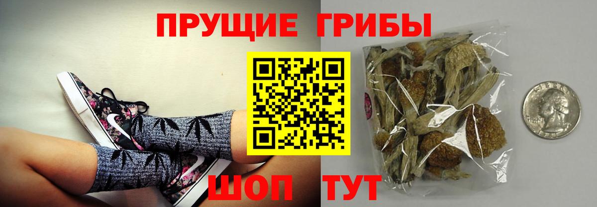 Шуя  Псилоцибиновые грибы Cubensis  Вход с VPN  Псилоцибиновые грибы MAGIC MUSHROOMS 